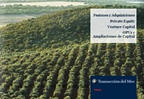 Mercado Ib&eacute;rico - Febrero 2013